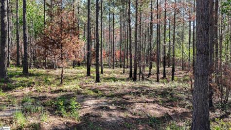 02 Lisbon Road Mountville SC 29370