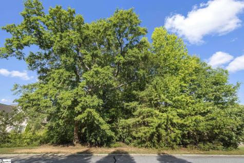 304 Chamblee Boulevard Greenville SC 29615
