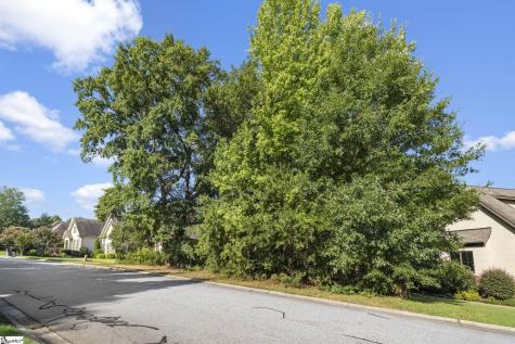 304 Chamblee Boulevard Greenville SC 29615