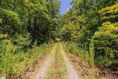 126/130 Old Springfield Road Cleveland SC 29635