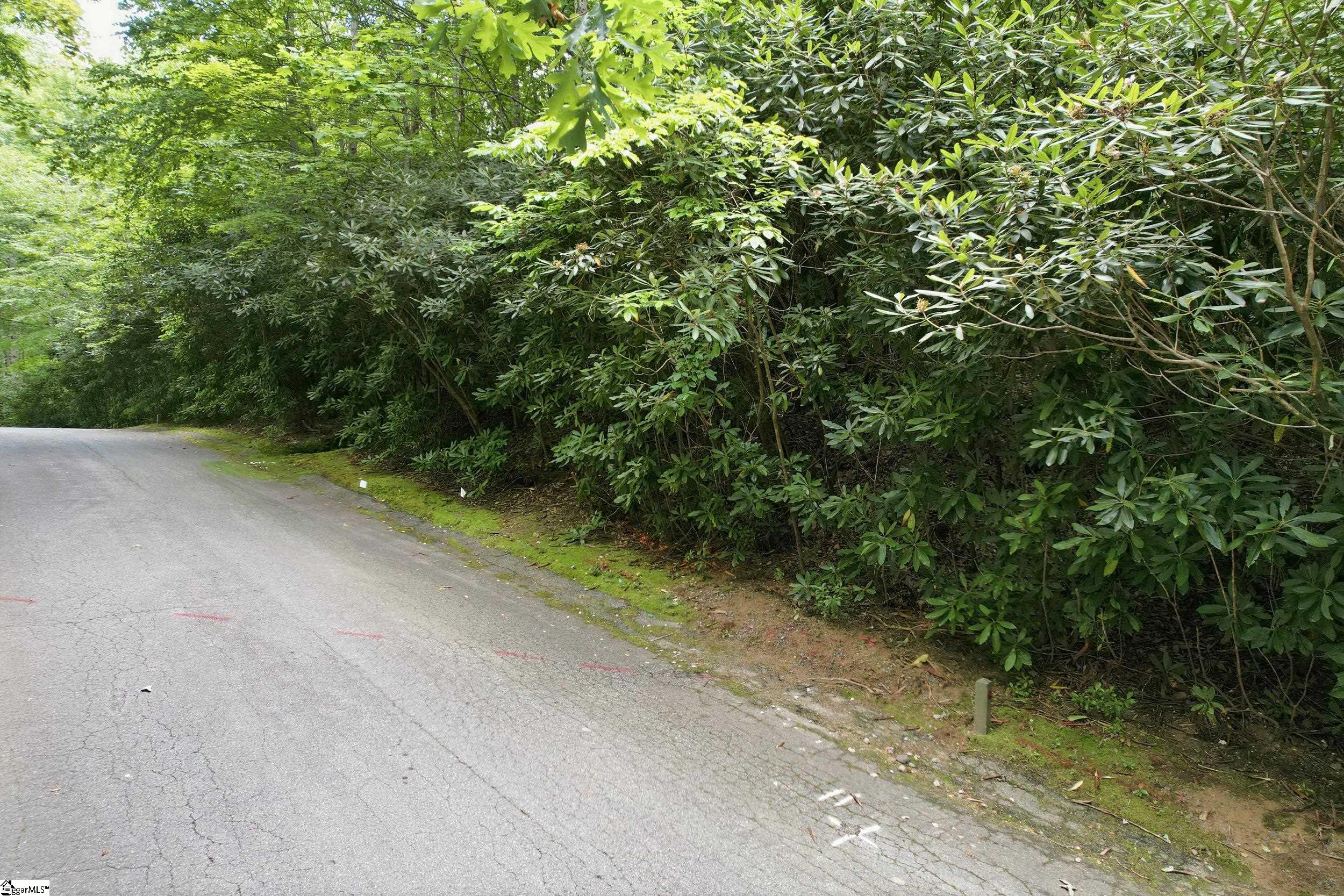 127 Conifer Falls Road Cleveland SC 29635