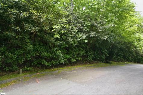 127 Conifer Falls Road Cleveland SC 29635