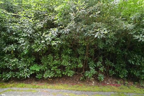 127 Conifer Falls Road Cleveland SC 29635