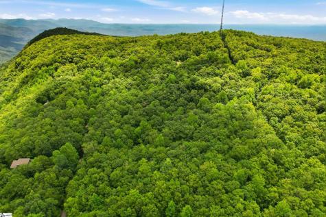 127 Conifer Falls Road Cleveland SC 29635