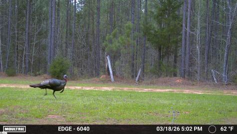 0 Highway 28 Mccormick SC 29620
