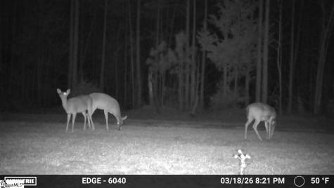 0 Highway 28 Mccormick SC 29620