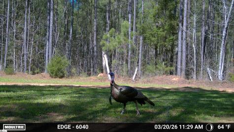 0 Highway 28 Mccormick SC 29620