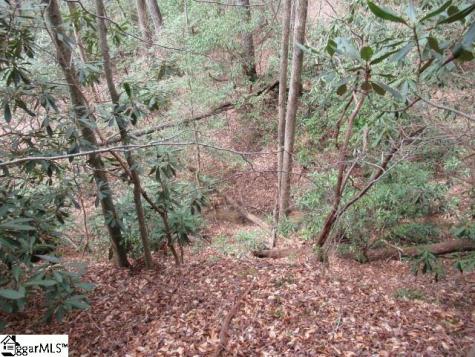 315 Falcon Crest Way Pickens SC 29671