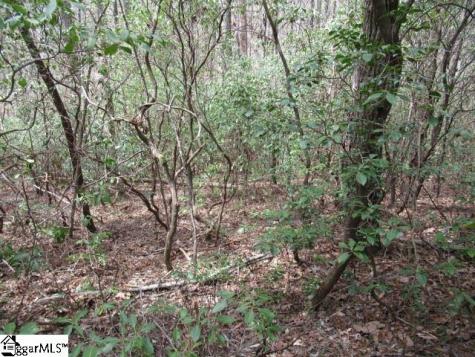 315 Falcon Crest Way Pickens SC 29671