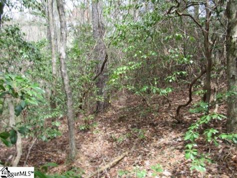 315 Falcon Crest Way Pickens SC 29671