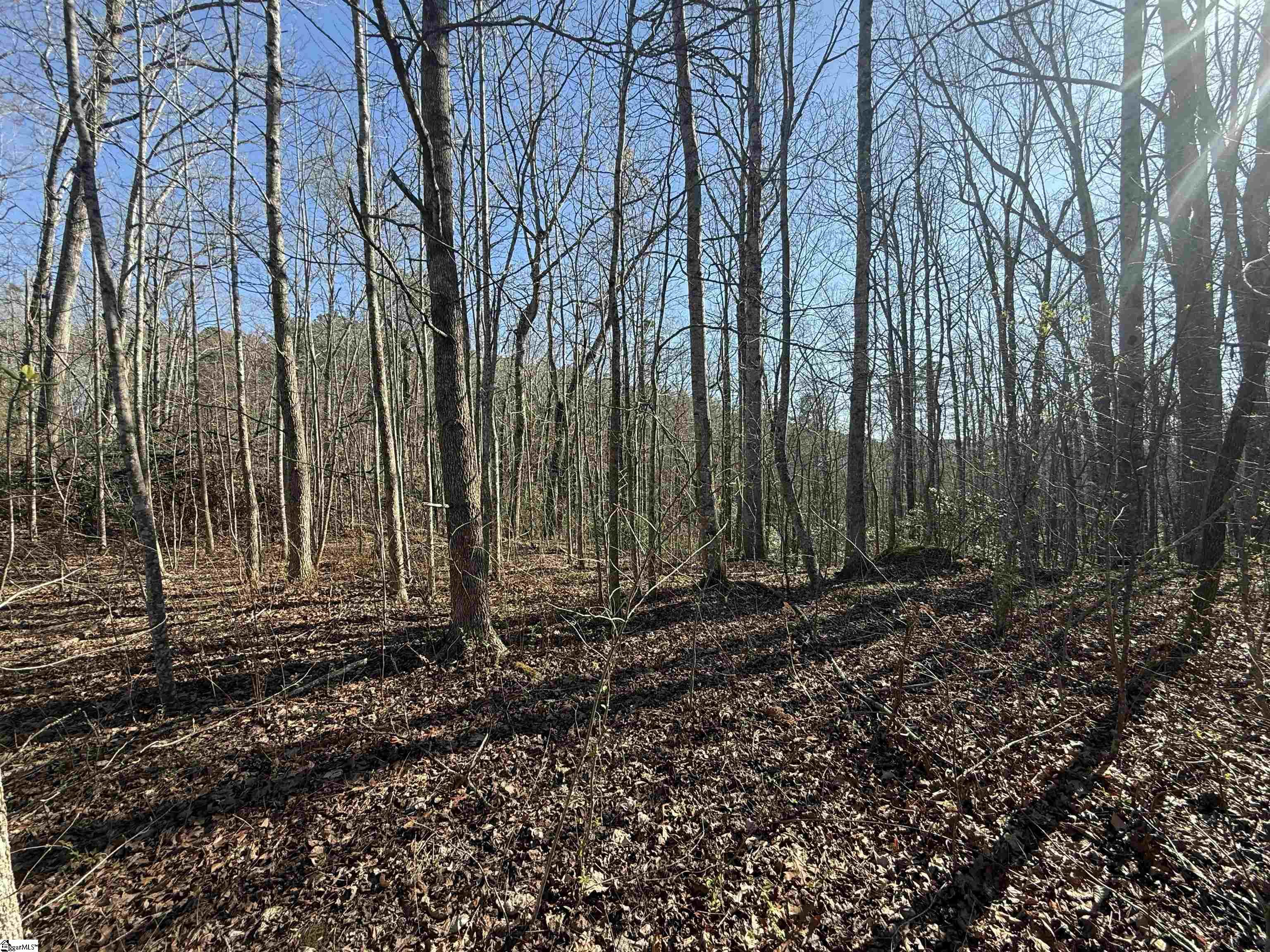 Glen Hollow Road Travelers Rest SC 29690