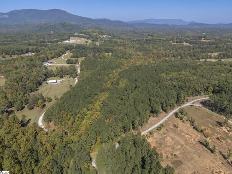 0 Laurel Knoll Trail Landrum SC 29345