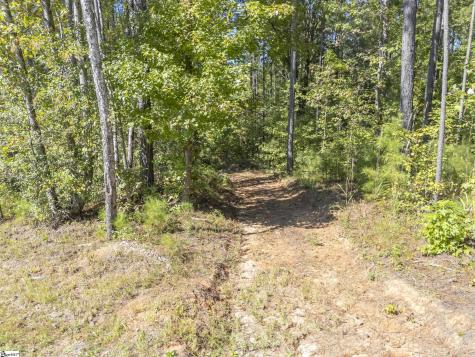0 Laurel Knoll Trail Landrum SC 29345