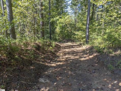 0 Laurel Knoll Trail Landrum SC 29345
