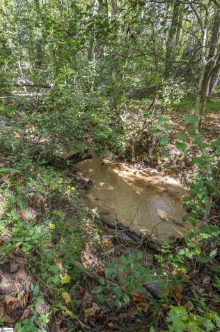 0 Laurel Knoll Trail Landrum SC 29345