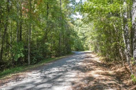 0 Laurel Knoll Trail Landrum SC 29345