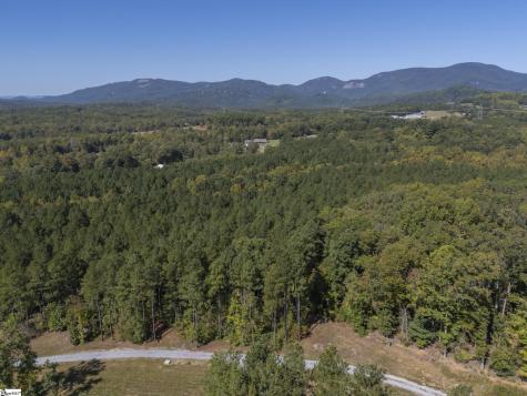 0 Laurel Knoll Trail Landrum SC 29345