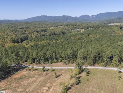 0 Laurel Knoll Trail Landrum SC 29345