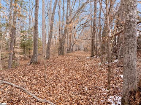 1709 River Road Woodruff SC 29388