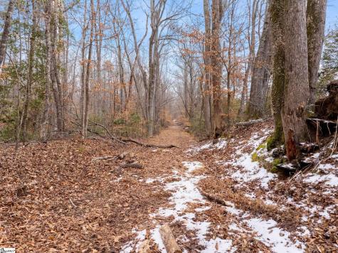 1709 River Road Woodruff SC 29388