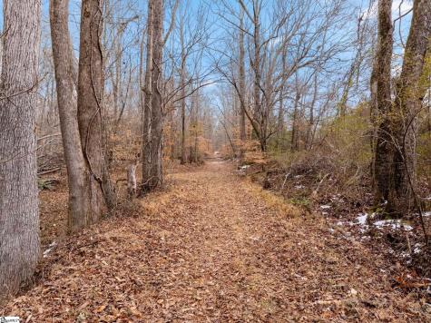 1709 River Road Woodruff SC 29388