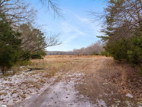 1709 River Road Woodruff SC 29388