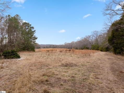 1709 River Road Woodruff SC 29388