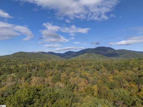 100 Pardo Road Landrum SC 29356