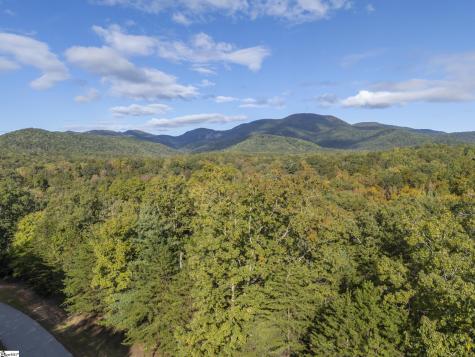 100 Pardo Road Landrum SC 29356