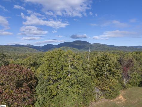 100 Pardo Road Landrum SC 29356