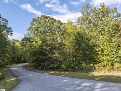 100 Pardo Road Landrum SC 29356