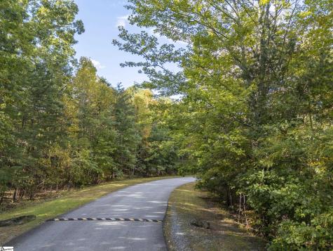 100 Pardo Road Landrum SC 29356