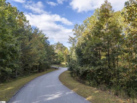 100 Pardo Road Landrum SC 29356