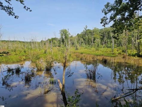 335 Old Ferry Road Union SC 29379