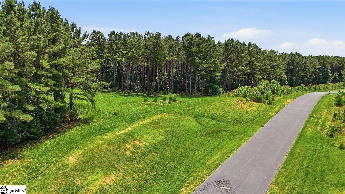 31 Waterside Point Abbeville SC 29620