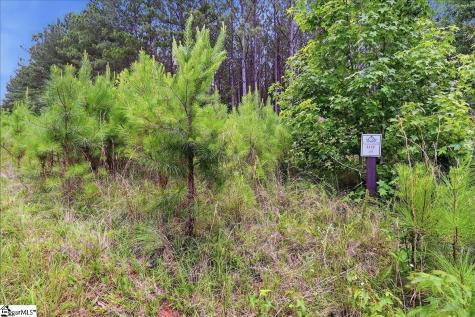 31 Waterside Point Abbeville SC 29620