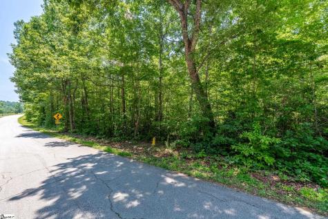 00 Trammell Road Travelers Rest SC 29690