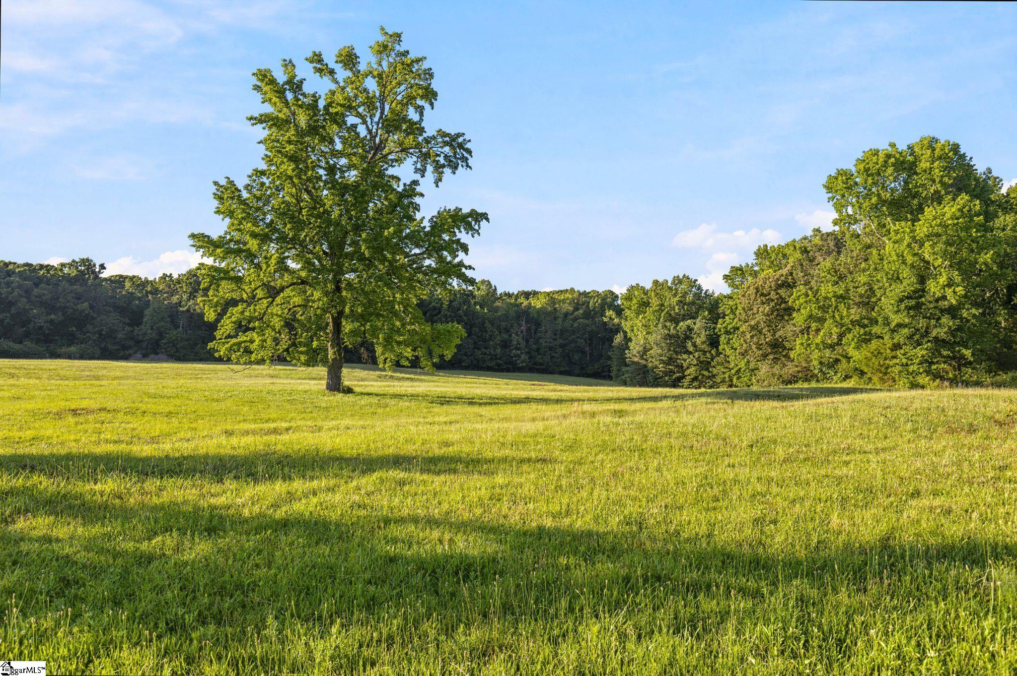 00 Indian Mound Road Ware Shoals SC 29662