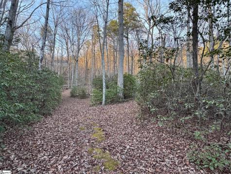 Lot 24 Mountaire Way Travelers Rest SC 29690