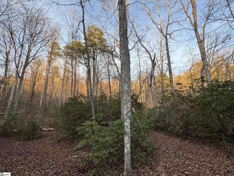 Lot 24 Mountaire Way Travelers Rest SC 29690