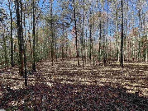 Old Dunham Bridge Road Greenville SC 29611