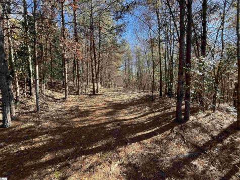 Old Dunham Bridge Road Greenville SC 29611
