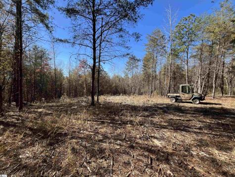 Old Dunham Bridge Road Greenville SC 29611
