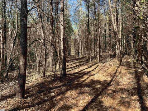 Old Dunham Bridge Road Greenville SC 29611