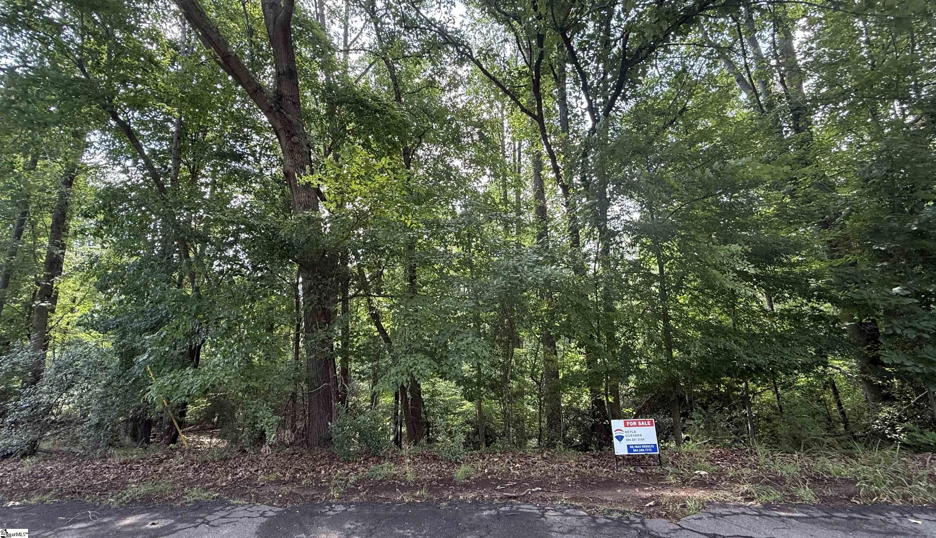 Lot 24 Mountain View Drive Central SC 29630