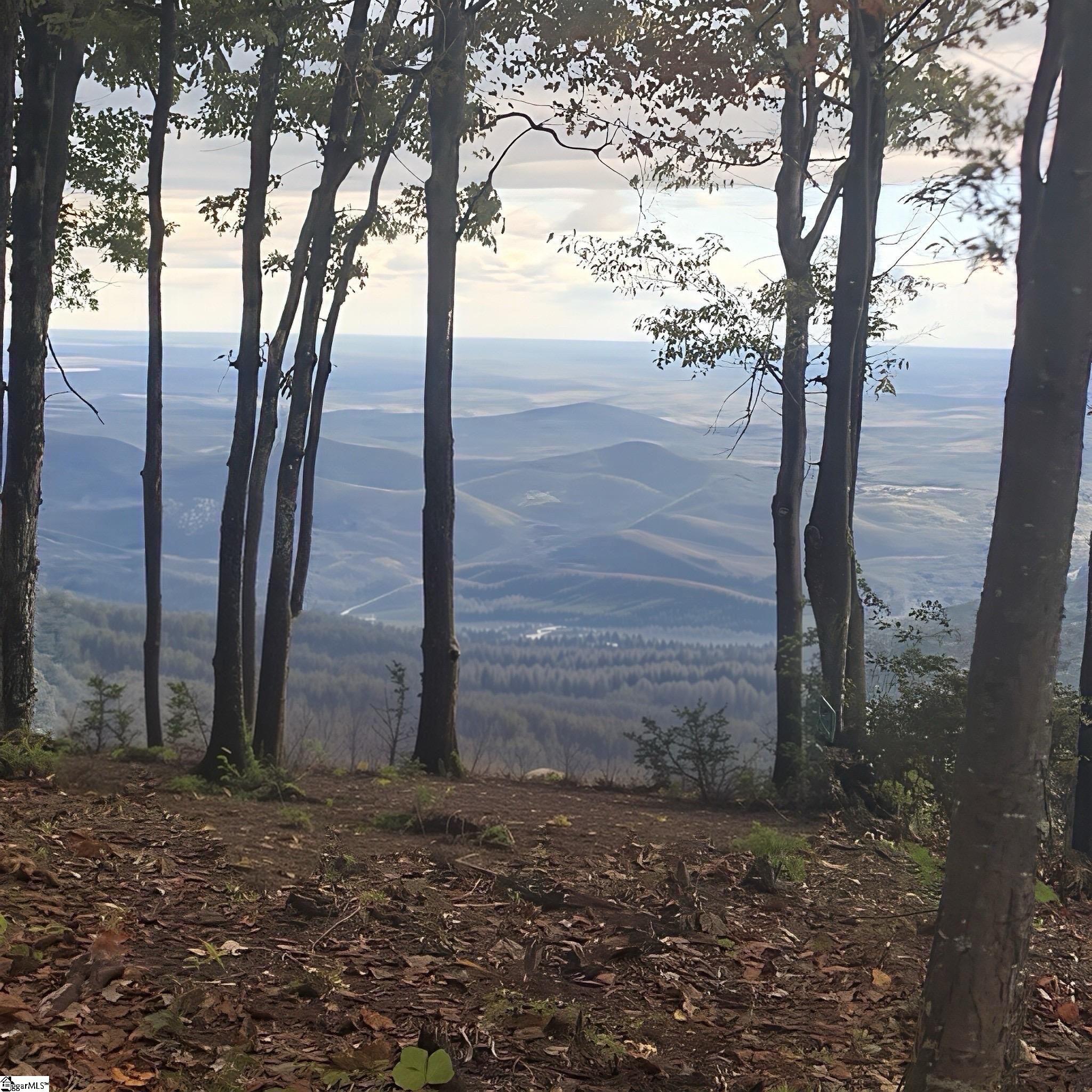 00 Mackerel Mountain Road Hendersonville NC 28790