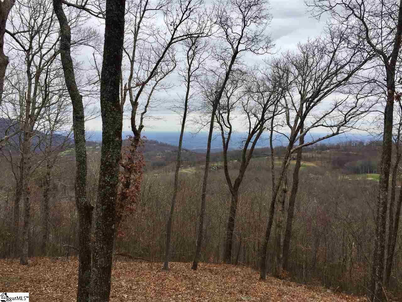 215 Yellowroot Lane Landrum SC 29356