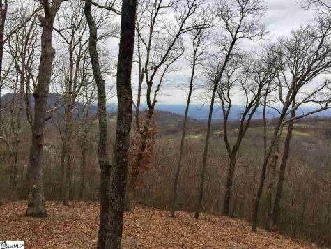 215 Yellowroot Lane Landrum SC 29356