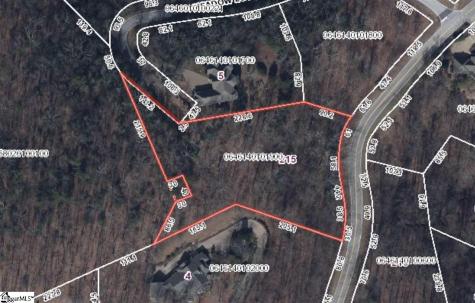 215 Yellowroot Lane Landrum SC 29356