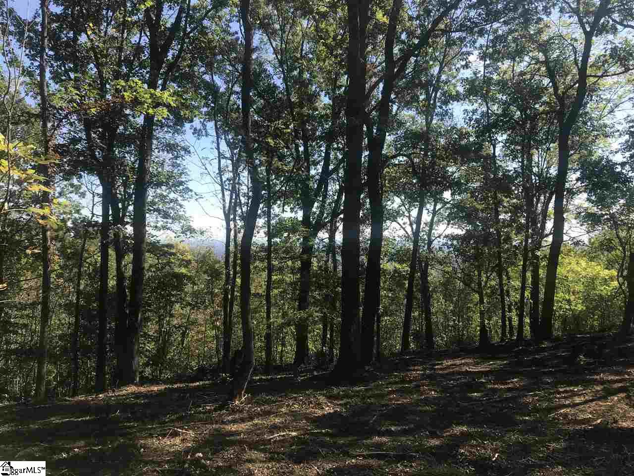 143 Raptor Way Landrum SC 29356